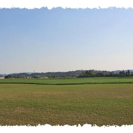 Castellani ויצ'נצה